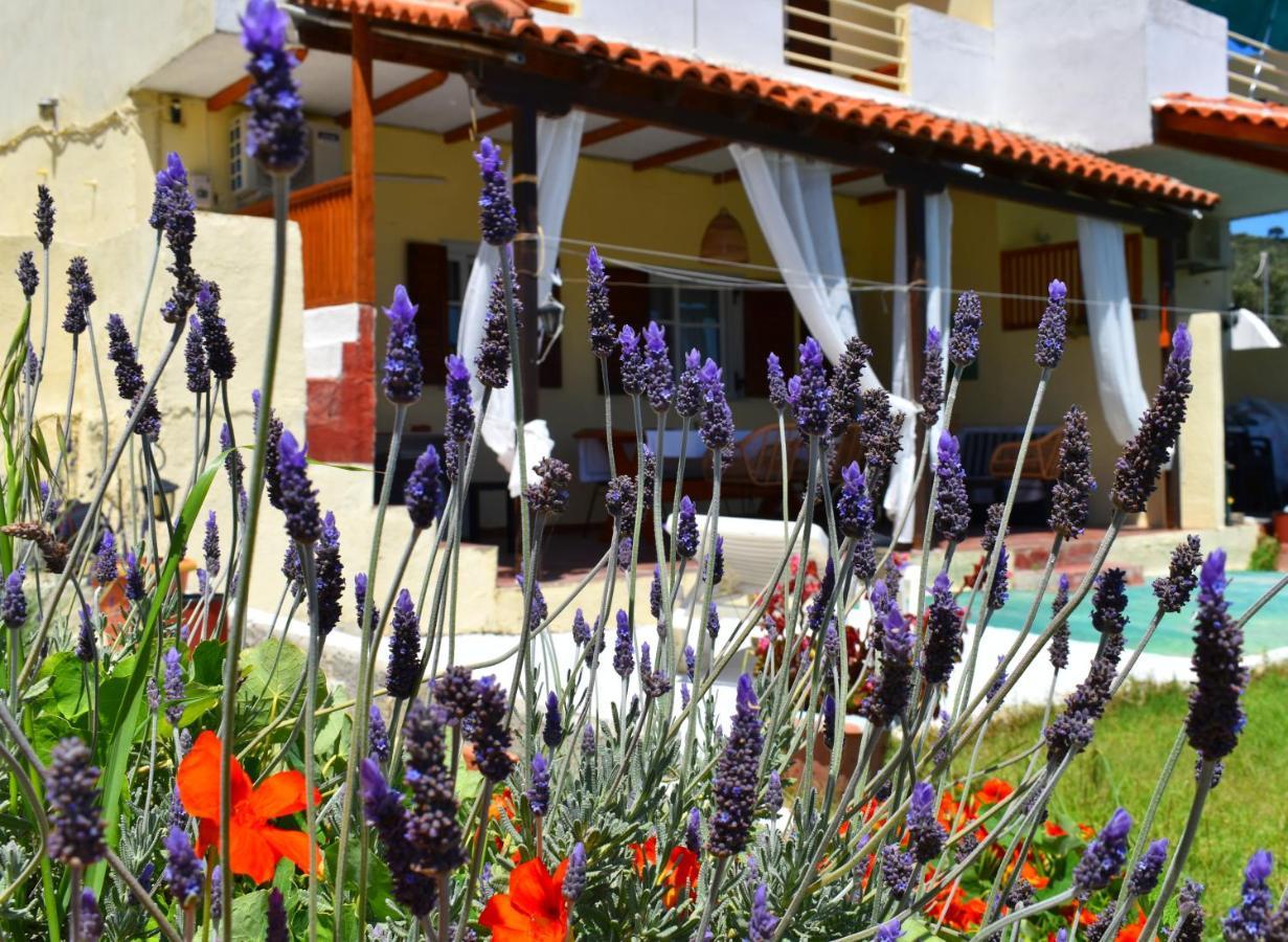 Villa Krini Skiathos-Stadt Exterior foto