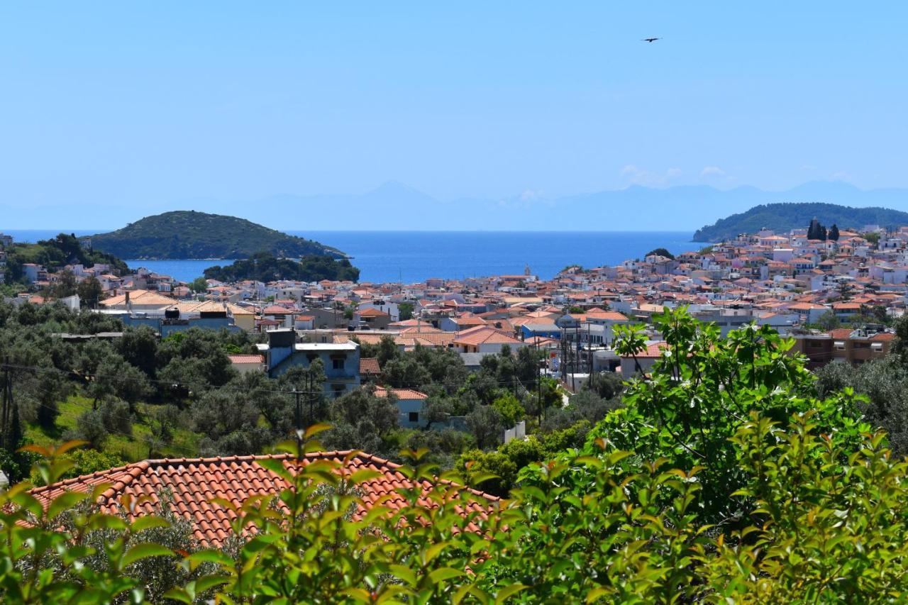 Villa Krini Skiathos-Stadt Exterior foto