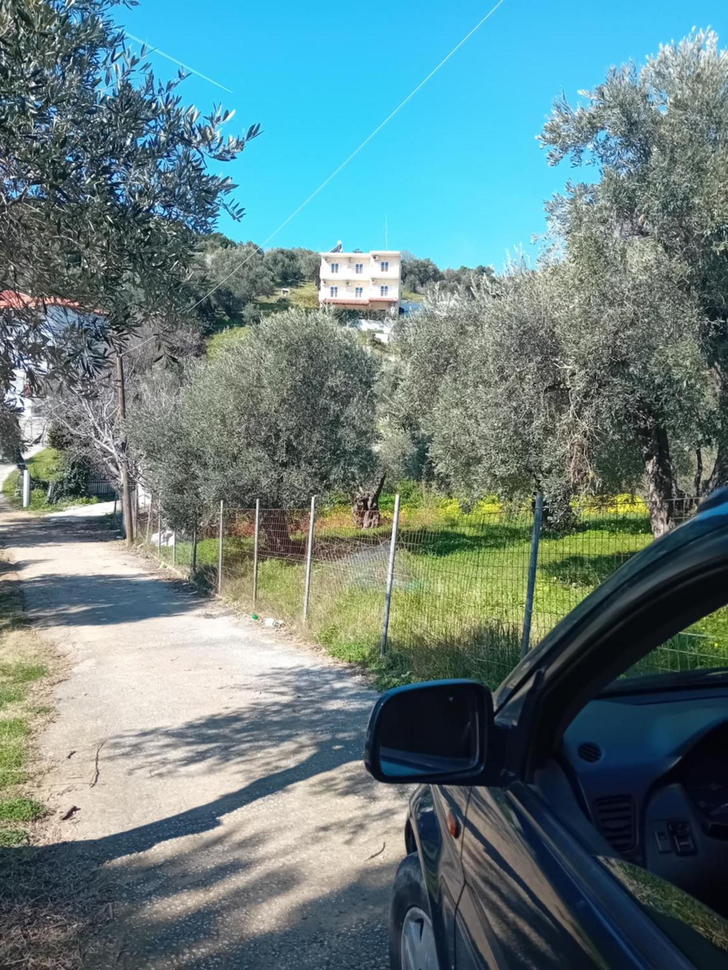Villa Krini Skiathos-Stadt Exterior foto